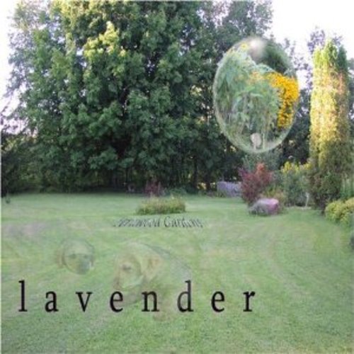 Product picture Lavender 